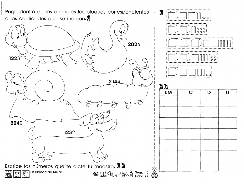 Actividades para tercer grado de primaria para niños