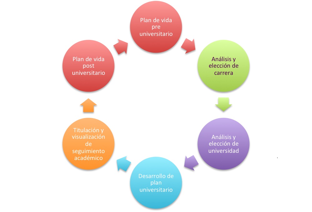 mapas conceptuales de ciclo