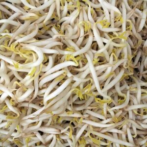 El crecimiento de una planta de frijol: pasos y estructurado